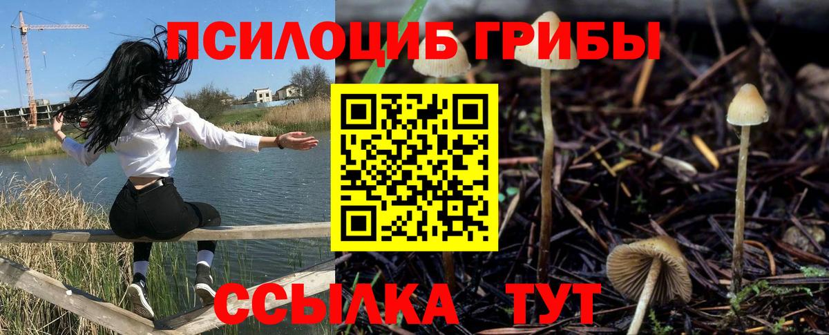 Псилоцибиновые грибы Cubensis  Вход с VPN  Нарткала  Псилоцибиновые грибы Magic Shrooms 